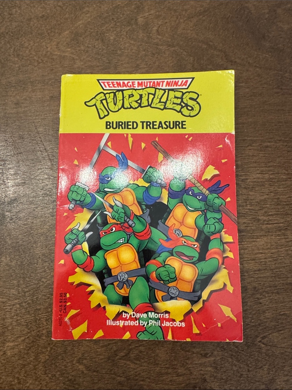 Teenage Mutant Ninja Turtles Buried Treasure Kids Book